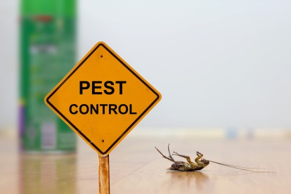 Pest Contol in Garston, Leavesden, WD25. Call Now 020 8166 9746